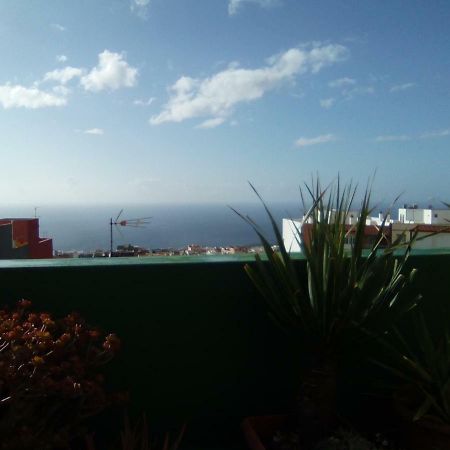 8 Calle Tangara La Gloria Santa Cruz de Tenerife Zewnętrze zdjęcie