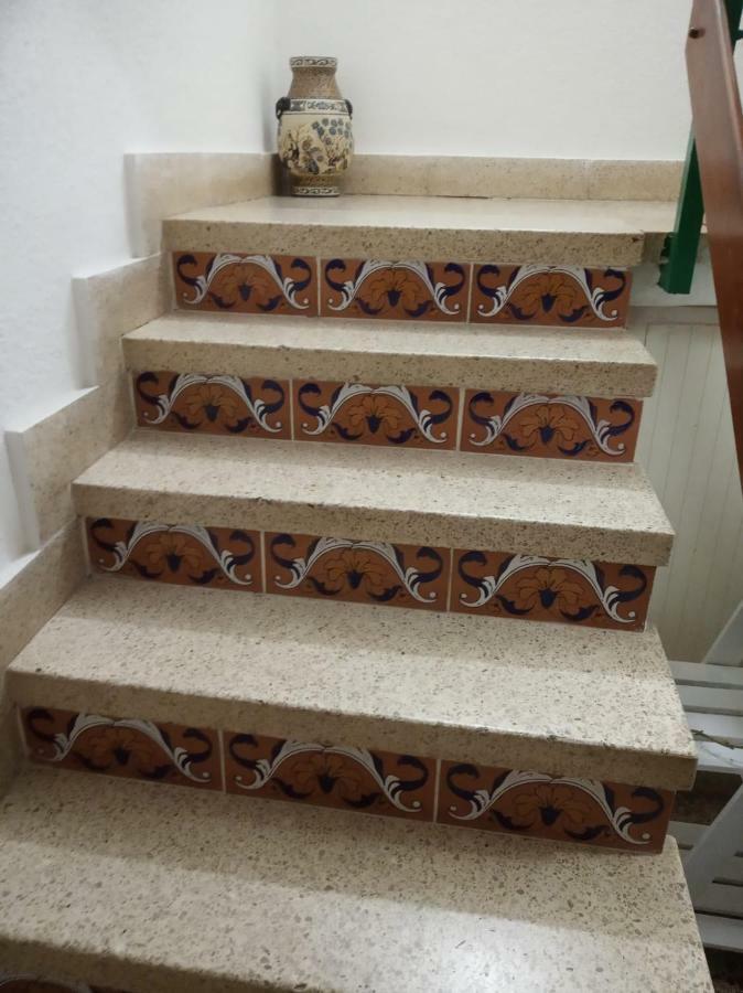 8 Calle Tangara La Gloria Santa Cruz de Tenerife Zewnętrze zdjęcie