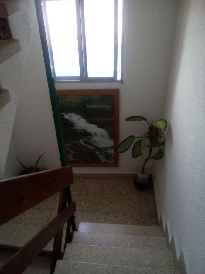 8 Calle Tangara La Gloria Santa Cruz de Tenerife Zewnętrze zdjęcie